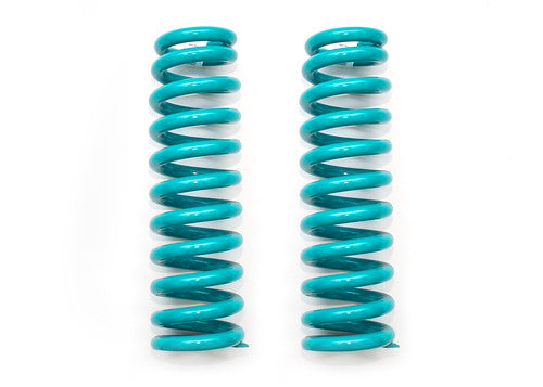 COIL SPRINGS PAIR | C19-522