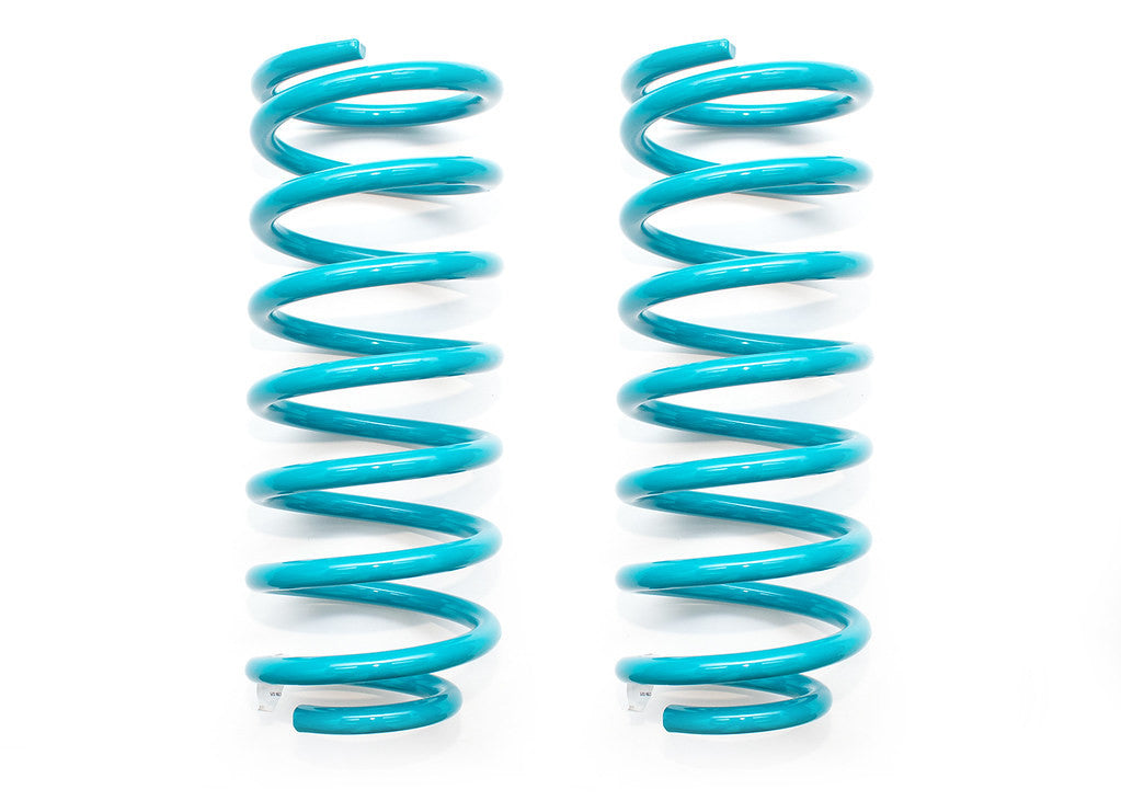 DOBINSONS | Scratch and Dent Pair of Rear Coils | C59-535