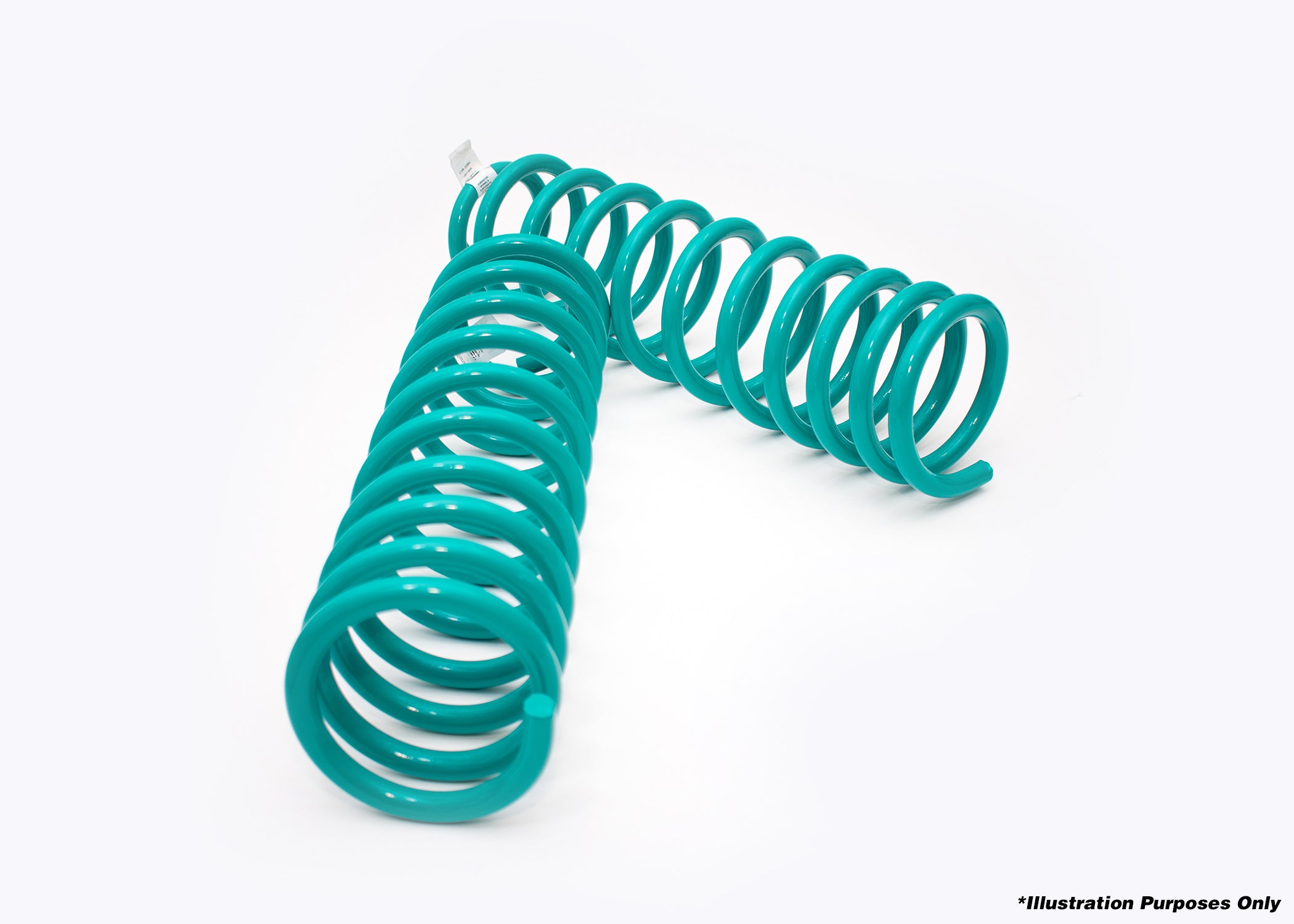 DOBINSONS | COIL SPRINGS PAIR | C19-422