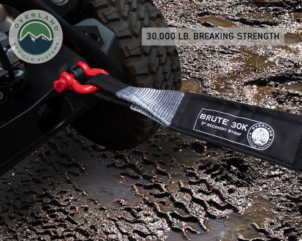 OVS | Tow Strap | Tow Strap 3" x 30' 30,000 LB. Gray With Black Ends & Storage Bag | 19069916