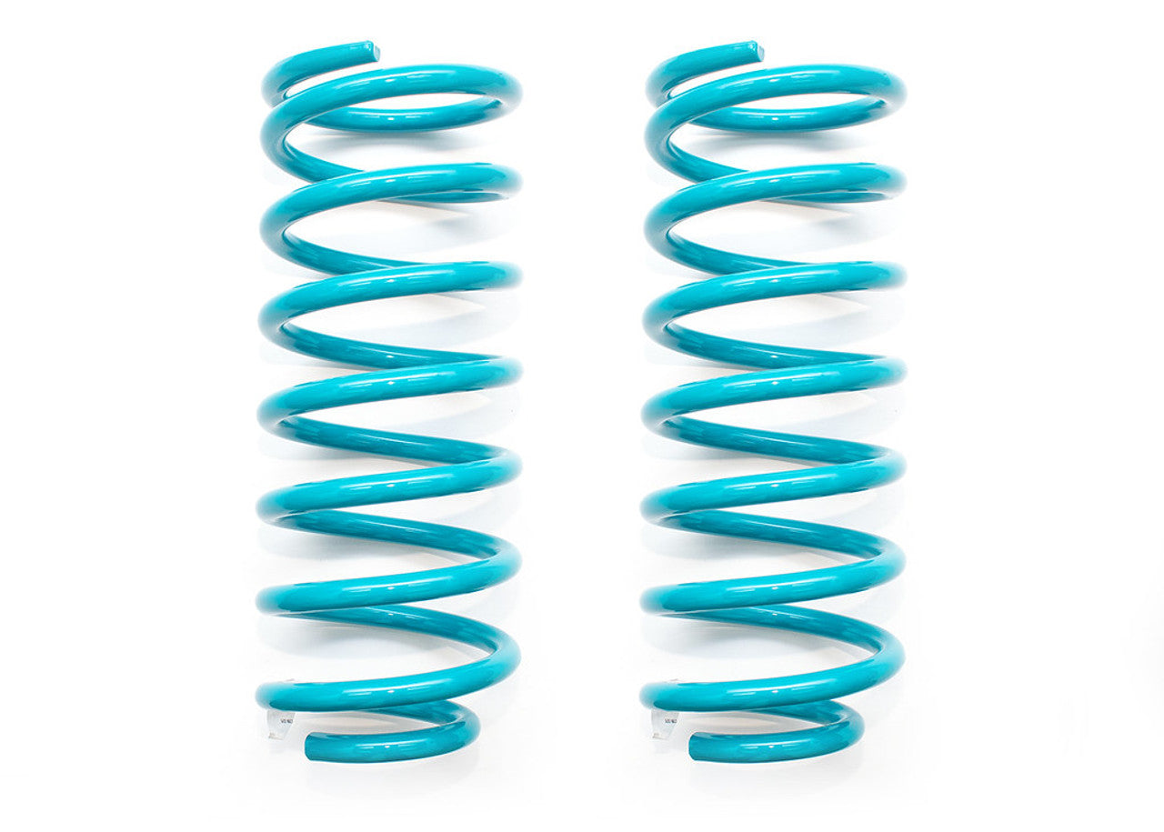 COIL SPRINGS PAIR | C31-075