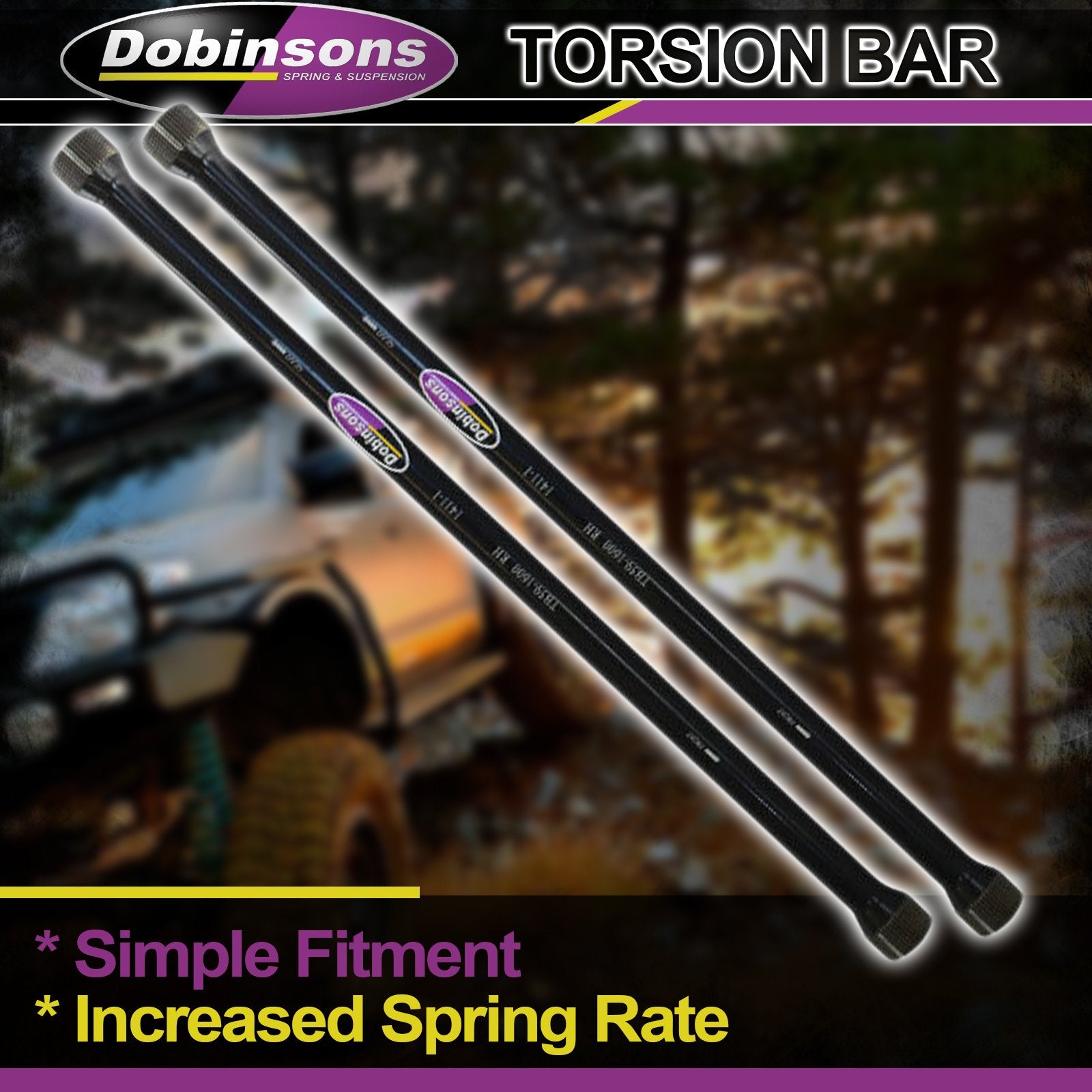 DOBINSONS | TORSION BAR (PAIR) | LENGTH 1063MM | TB38-1673
